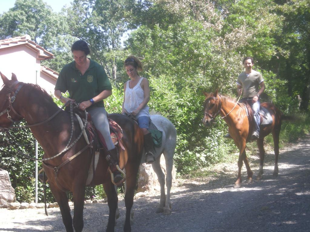 Agriturismo Castellum Aquarum Manciano Ngoại thất bức ảnh